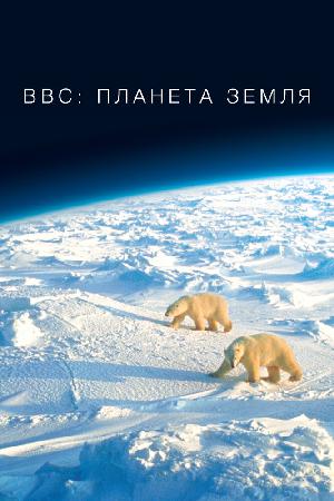 Постер к BBC: Планета Земля 2006
