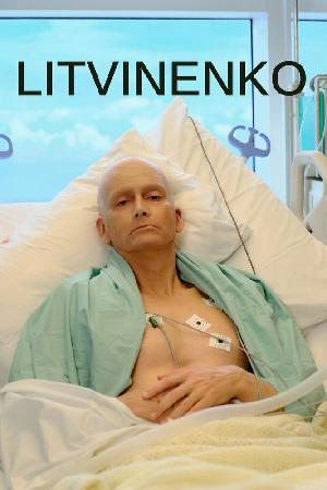 Постер к Литвиненко (2022)