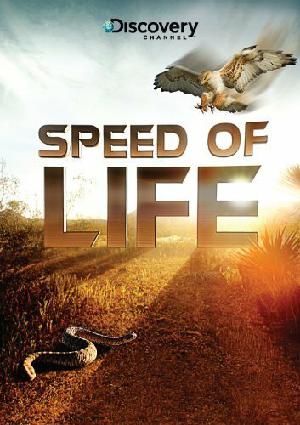 Постер к Скорость жизни 2010