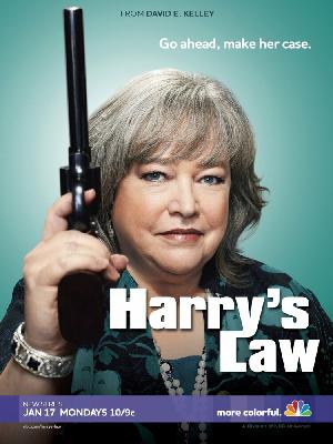 Постер к Закон Хэрри 2011